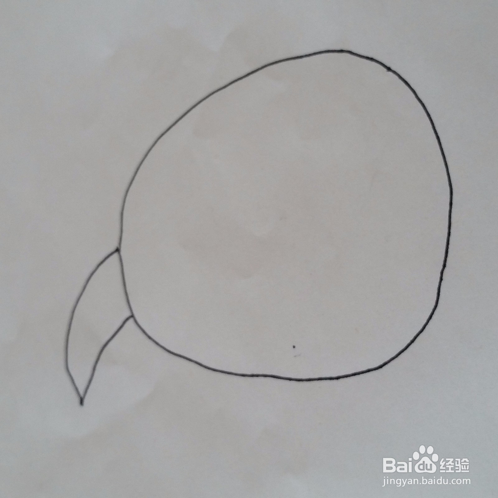 菠萝儿童水果简笔画步骤图