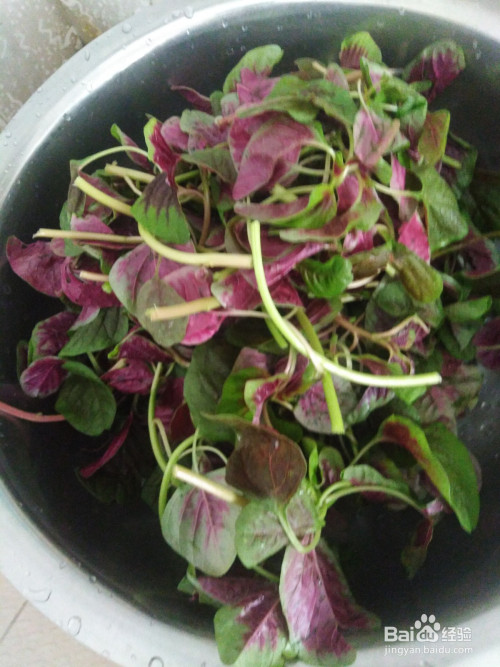 红汗菜如何煮鸭蛋?