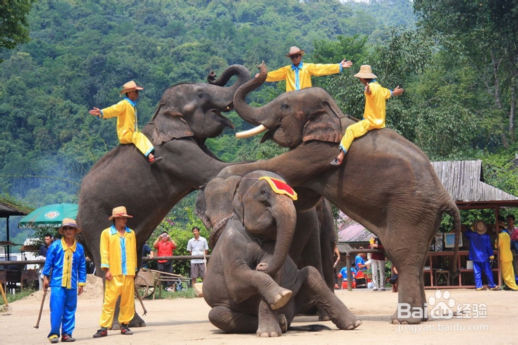 云南省西双版纳旅游攻略