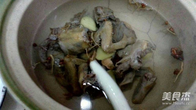 炖鸽子的家常做法