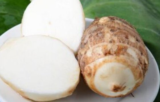 芋头叶子怎么吃