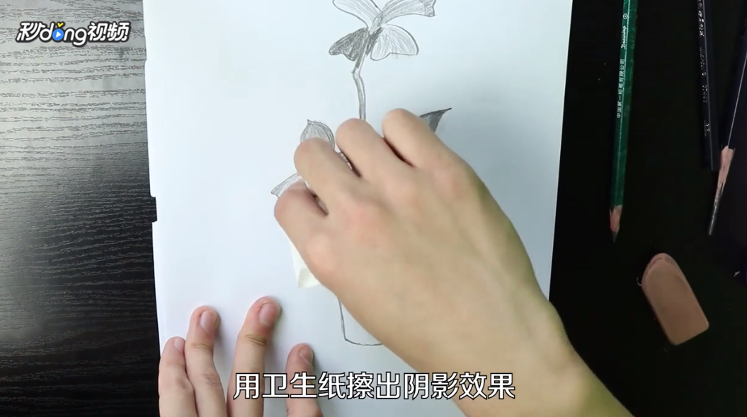 素描四叶草怎么画