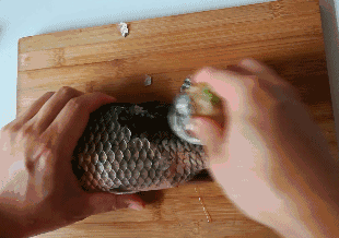 怎么刮鱼鳞最方便实用