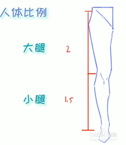 绘伴板绘教程-动漫人物比例画法