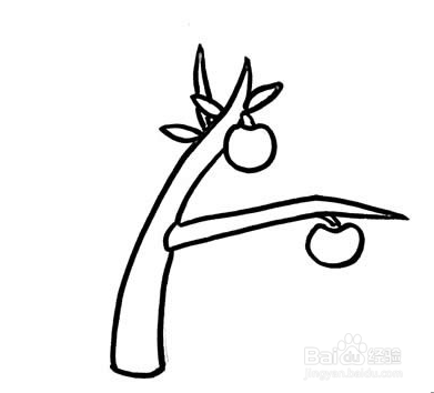 如何画苹果树简笔画?