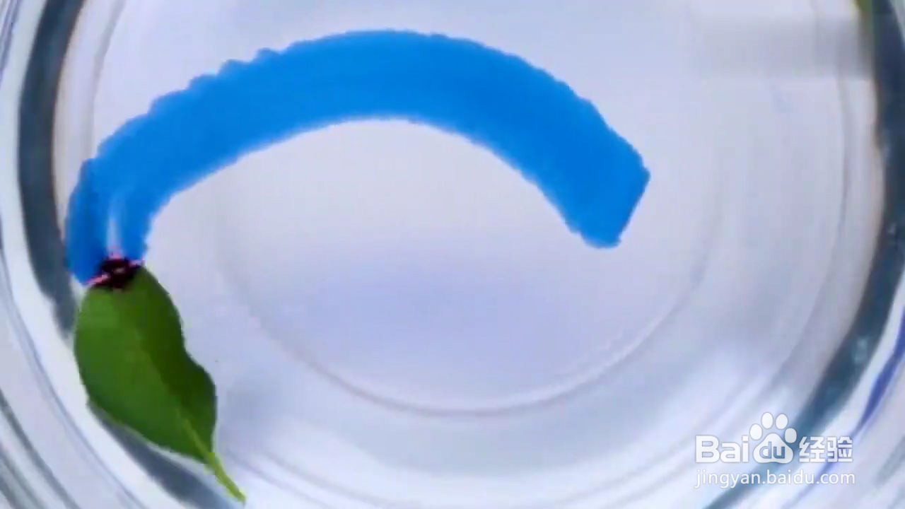 怎样在家做有趣小实验？