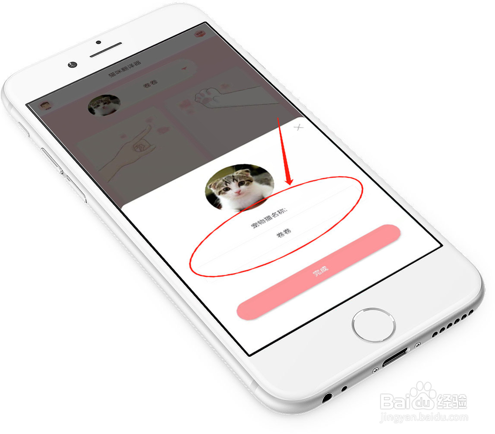 什么软件可以翻译猫语