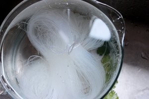 怎么做越式鲜虾木耳粉丝沙拉