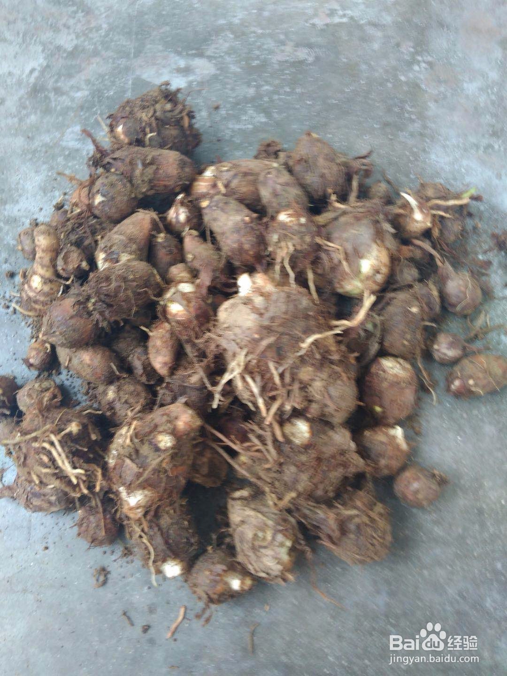 芋头山药排骨汤的做法