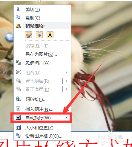 word图片环绕方式如何设置