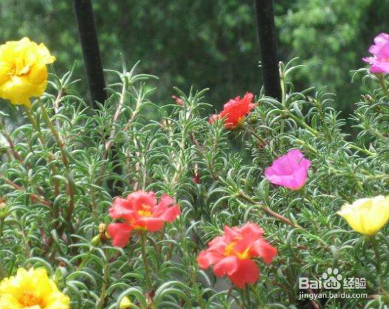 女人月经期间如何保养？