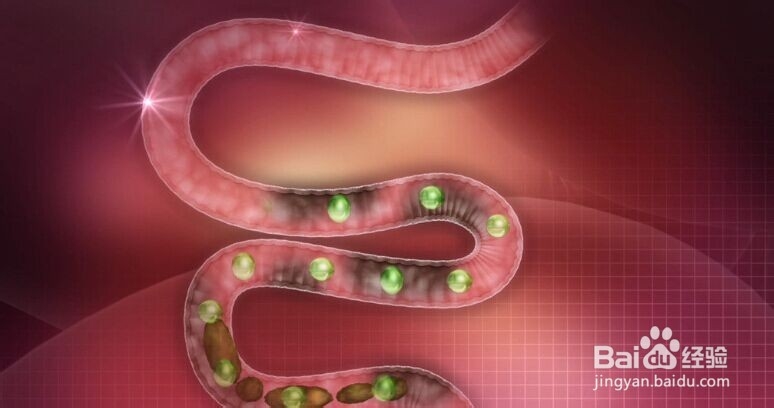 番薯叶是蔬菜中的战斗机