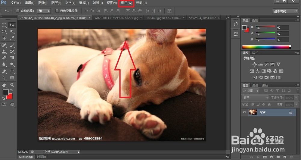 ps如何切换操作图象