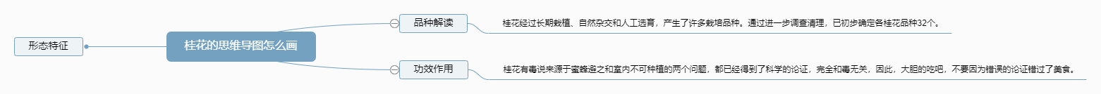 桂花的思维导图怎么画