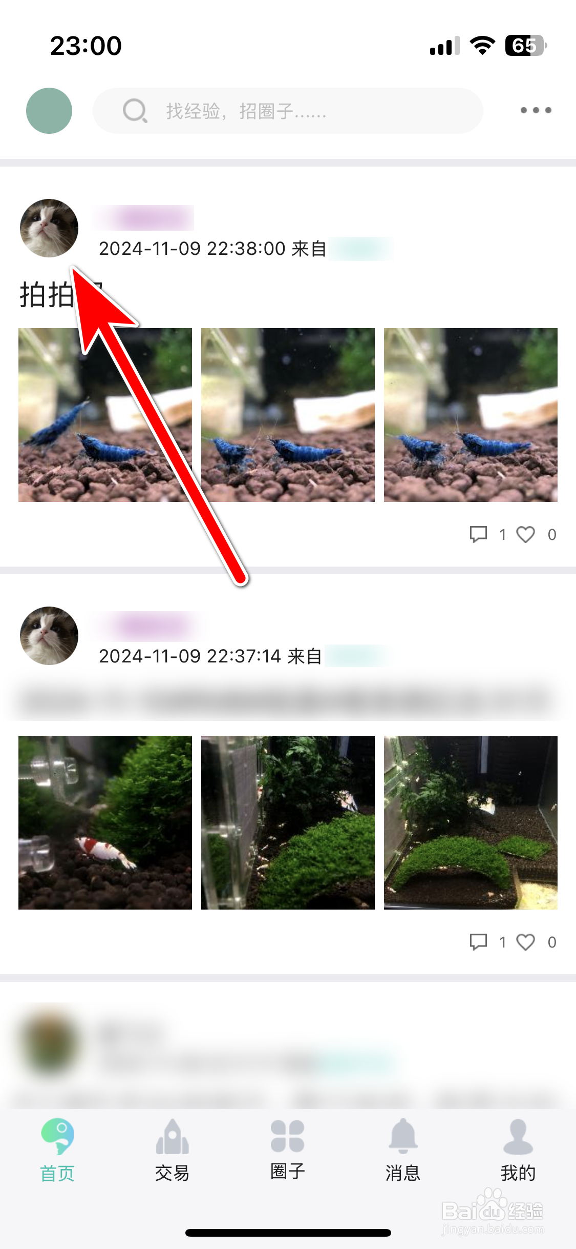 泡泡水族如何关注用户