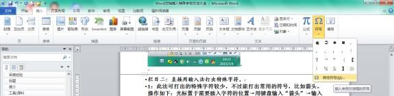 Word文档插入特殊字符方法大全