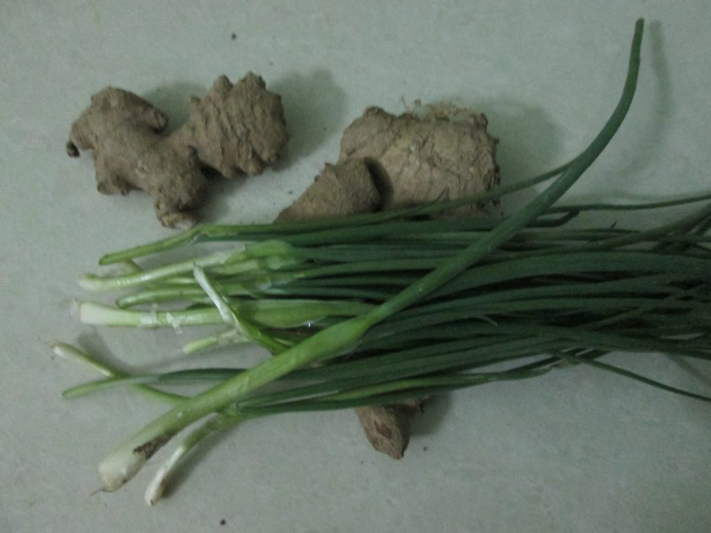 超级羊肉煲，真的好吃到爆表，赶紧学起来