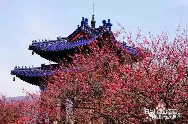 三月份去哪旅游