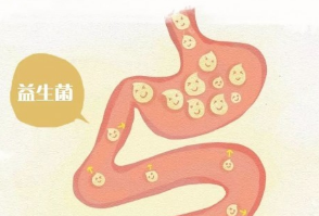 给宝宝吃益生菌的最佳时间是什么