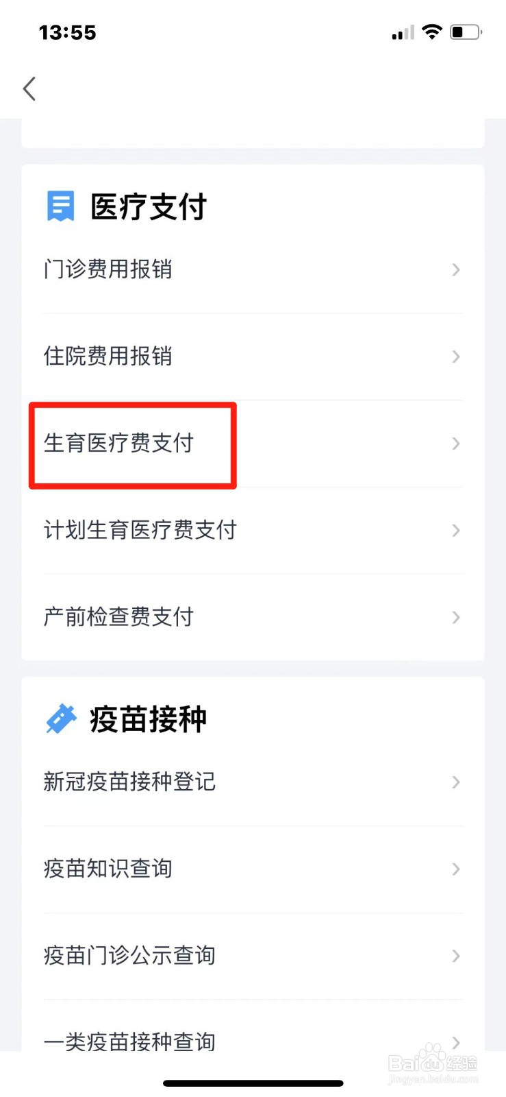 怎么申请生育医疗费支付