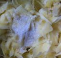 嫩姜怎样腌制才好吃