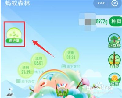 支付宝弄种树彩色树的操作