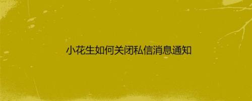 小花生如何关闭私信消息通知