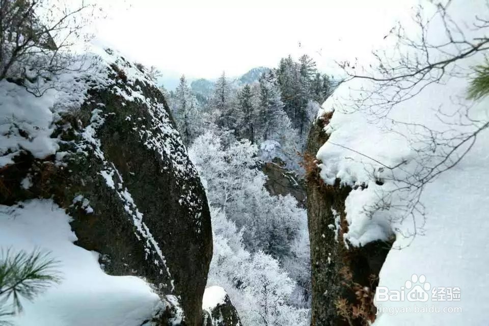 黑龙江东沟原始林景区旅游攻略