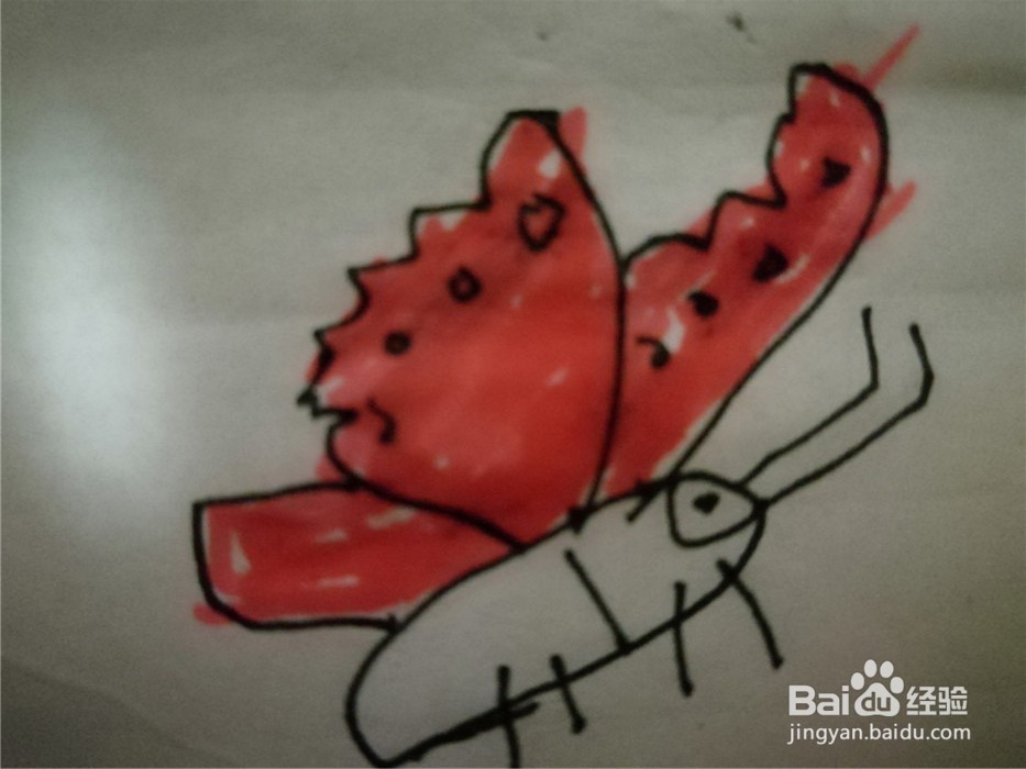 怎么样用简笔画画小的蝴蝶