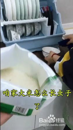 大米长虫子怎么解决