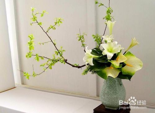 插花艺术固定法技巧 百度经验