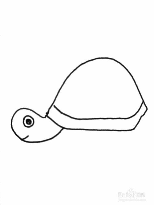 简笔画小乌龟绘画教程