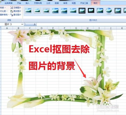 Excel如何抠图去除图片的背景 百度经验