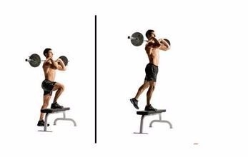 身体各部位肌肉训练的方法有哪些