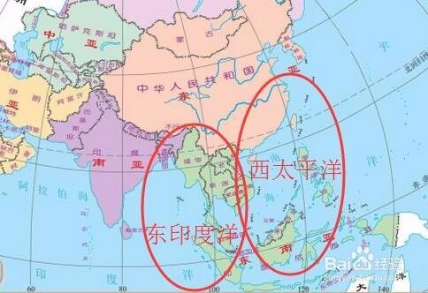 白花鱼胶的详细介绍 百度经验 白花鱼胶的详细介绍 百度经验
