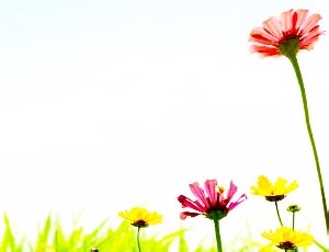 如何做幸福的人