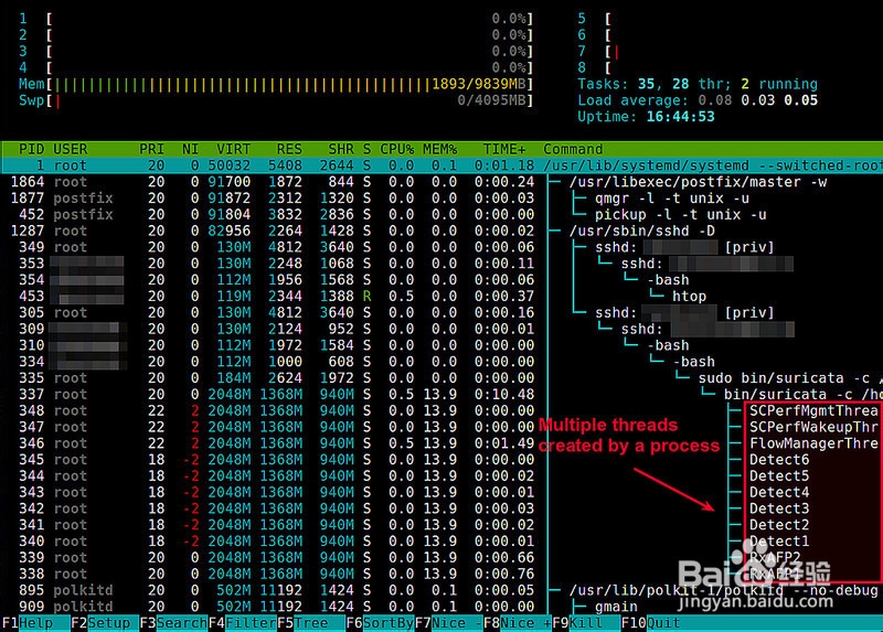 Linux上如何查看某个进程的线程