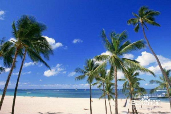 小孩子周末不上学,都能去干什么呢?