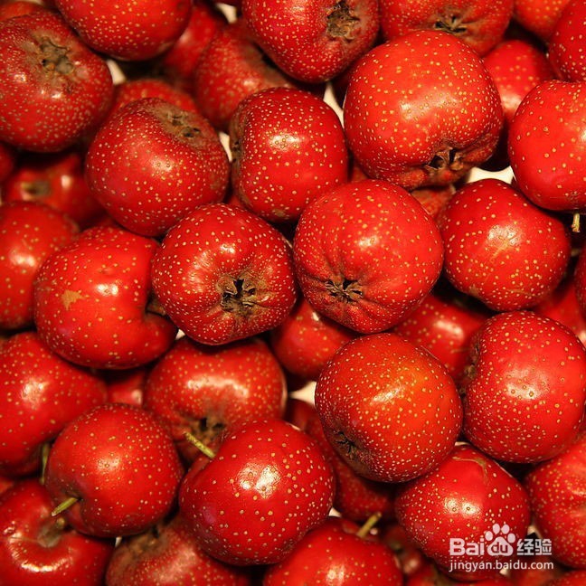 哪些食物有助于降低心脑血管病人的胆固醇