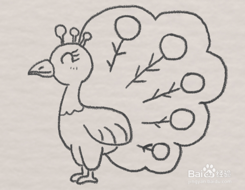 卡通动物孔雀怎么画