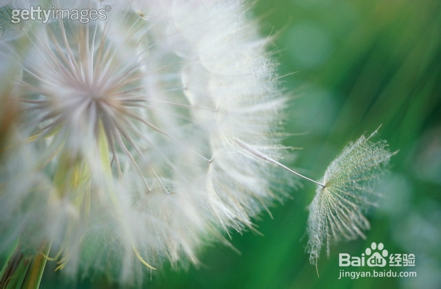 怎样调节自己的情绪,让自己有个好心情?