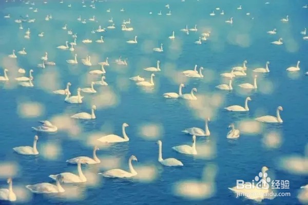 童话美景不只存在书中，看山东现实中的童话影像