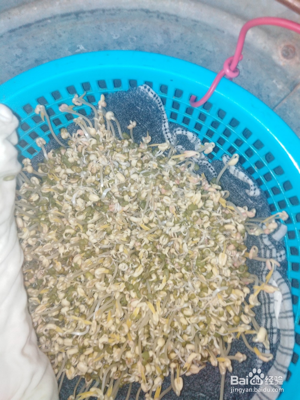 如何才能发好绿豆芽