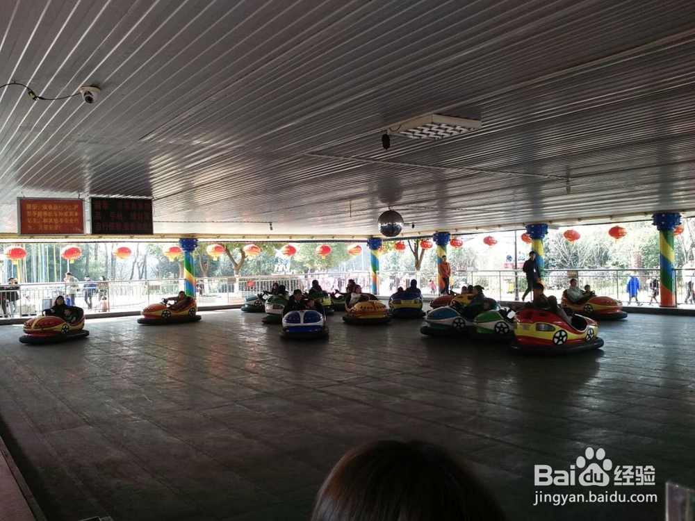 怎么带小孩体验碰碰车