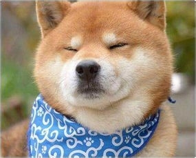 出国旅游应该知道的旅游禁忌(五)