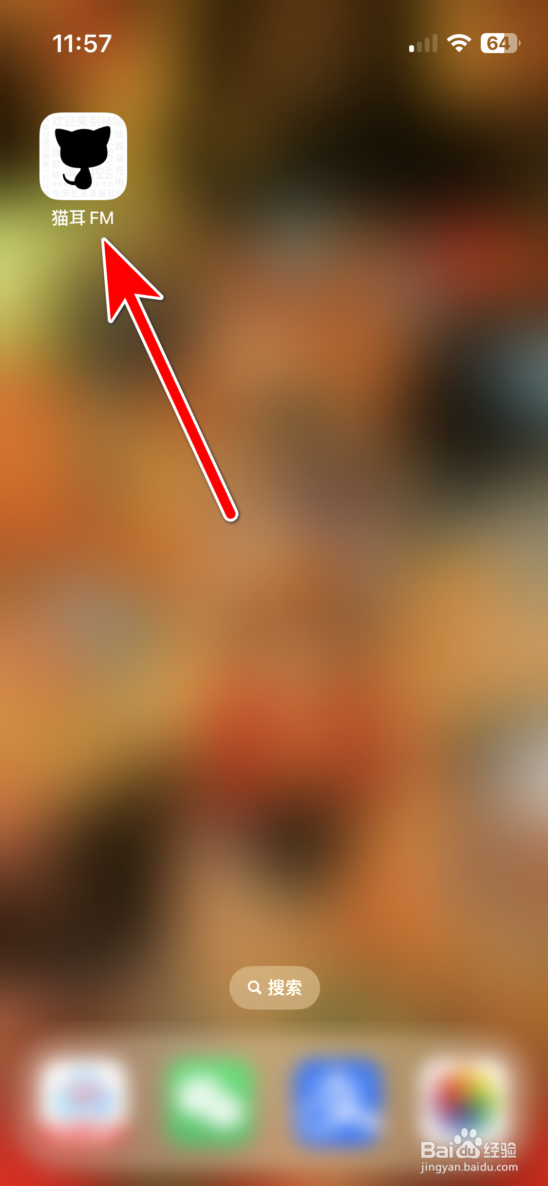 猫耳FM如何切换至夜间模式