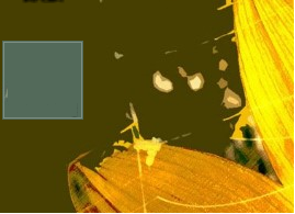 Windows隐藏文件夹的方式