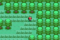 口袋妖怪圣灰攻略图片5