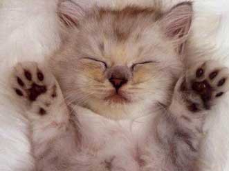 失眠睡不着该怎么办