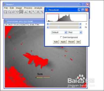 如何测定图片中物体的大小?